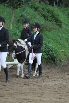 Bild 520 - WBO-Turnier am 18.9.11